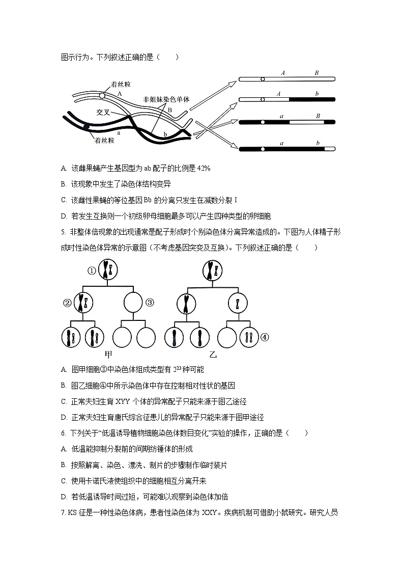 重庆市名校联盟2025-2026学年高二上学期中考试生物试卷（学生版）第2页