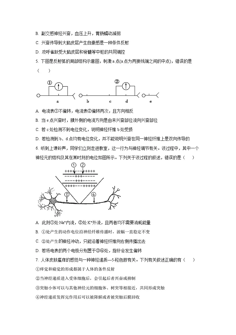 重庆市复旦中学教共体2025-2026学年高二上学期期中考试生物试卷（学生版）第2页