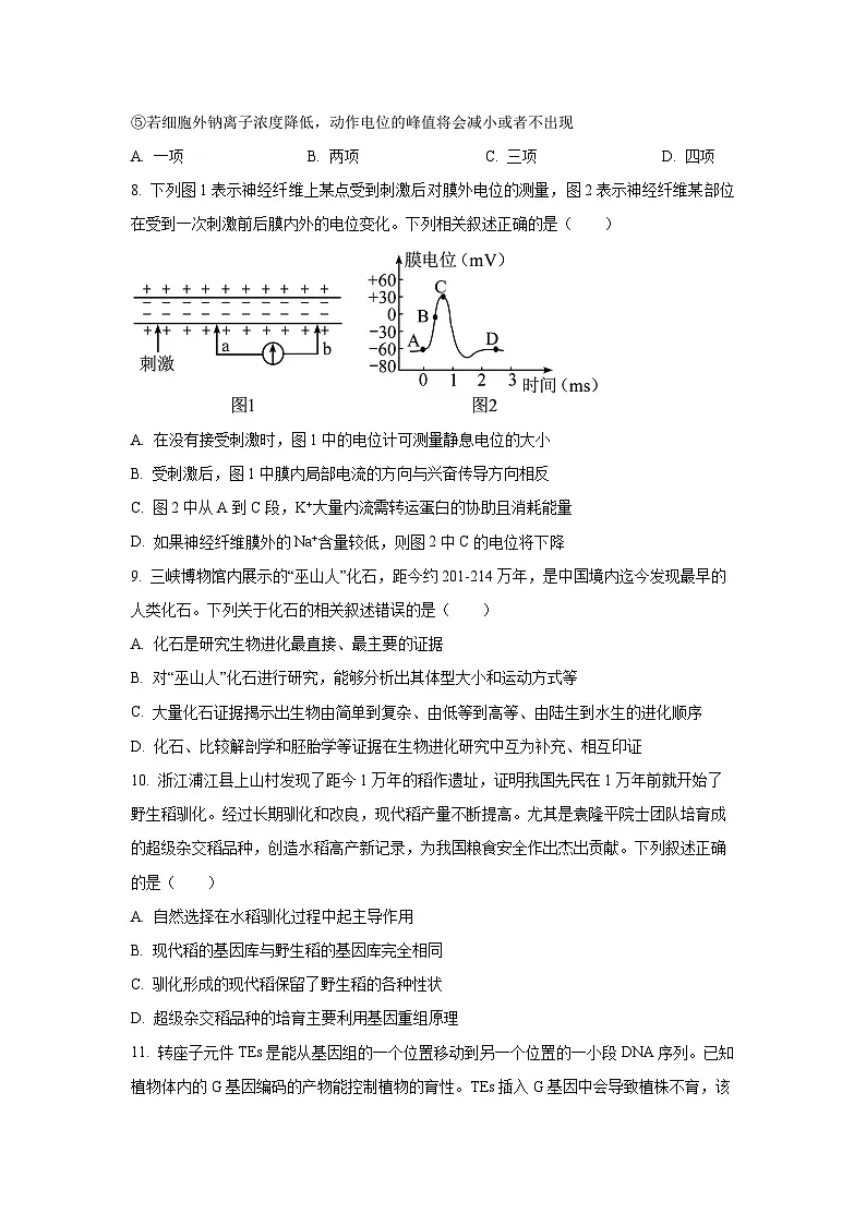 重庆市复旦中学教共体2025-2026学年高二上学期期中考试生物试卷（学生版）第3页