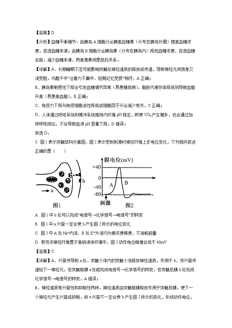 福建省福州市八县（市）协作校2025-2026学年高二上学期期中联考生物试卷（学生版）第3页