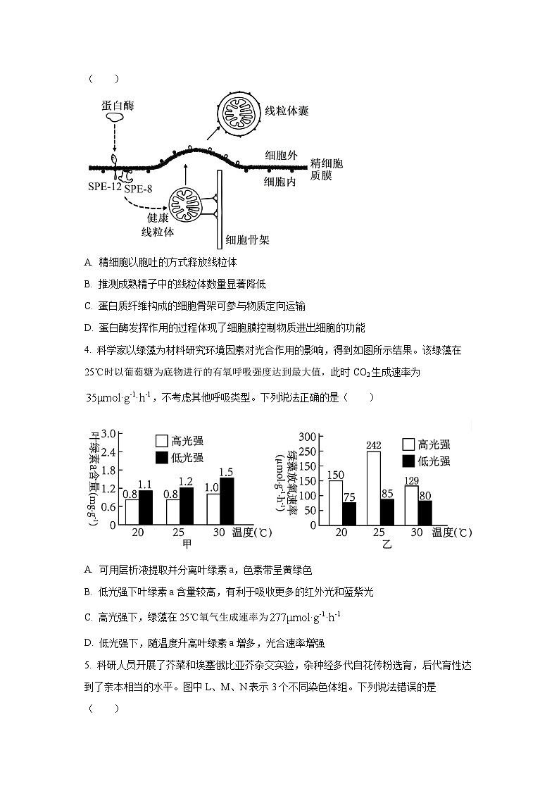 山东省青岛市2025-2026学年高三上学期期中考试生物生物试卷（学生版）第2页