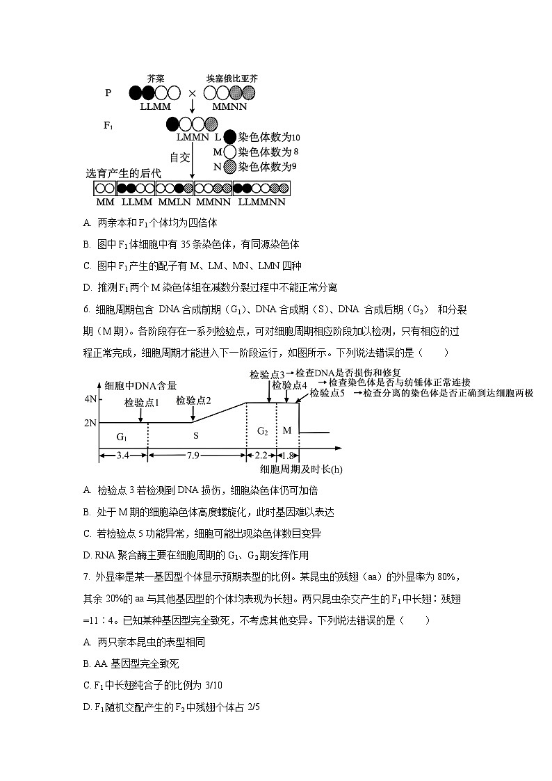 山东省青岛市2025-2026学年高三上学期期中考试生物生物试卷（学生版）第3页