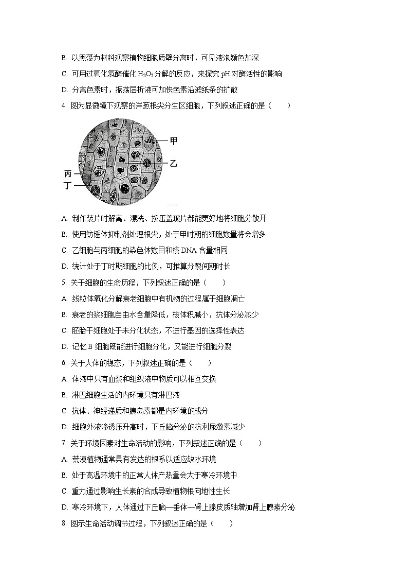 江苏省淮安市2025-2026学年高三上学期11月期中生物试卷（学生版）第2页