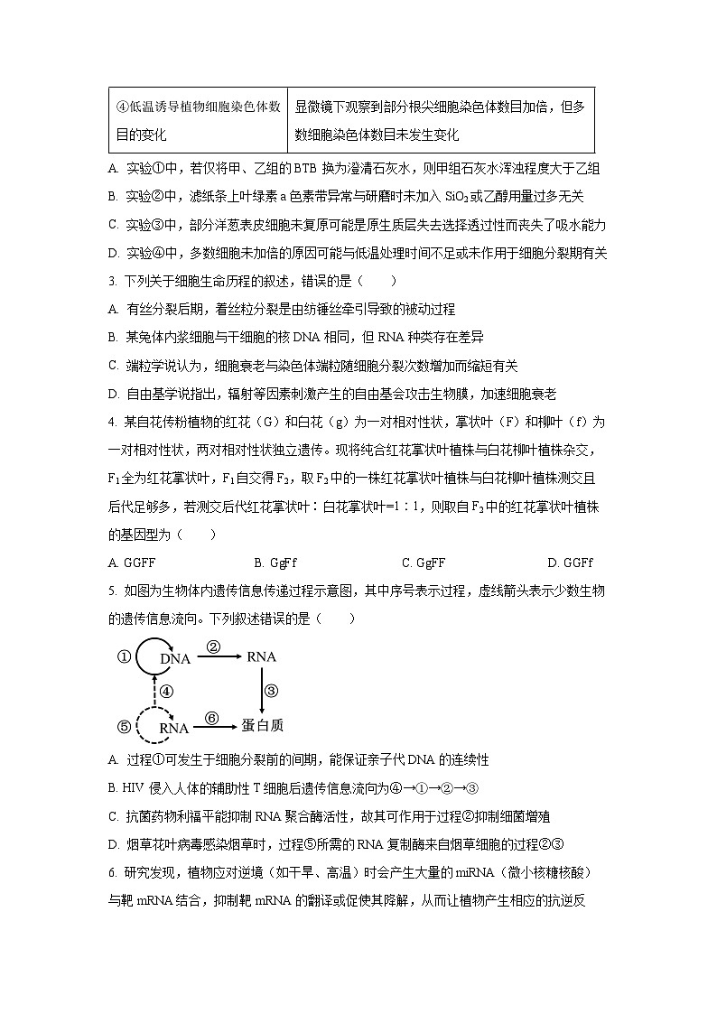 黑龙江省九师联盟2025-2026学年高三上学期11月月考生物试卷（学生版）第2页