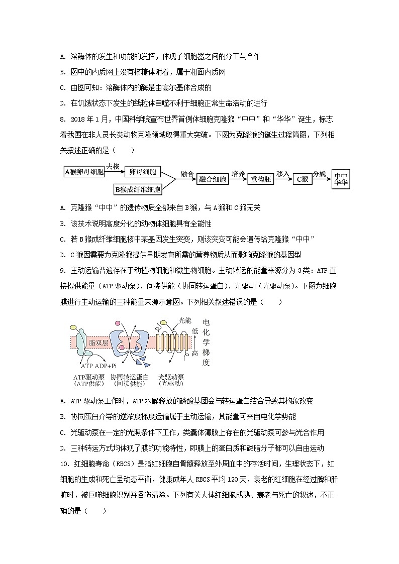江西省九校2025-2026学年高三上学期期中联考生物试卷（学生版）第3页