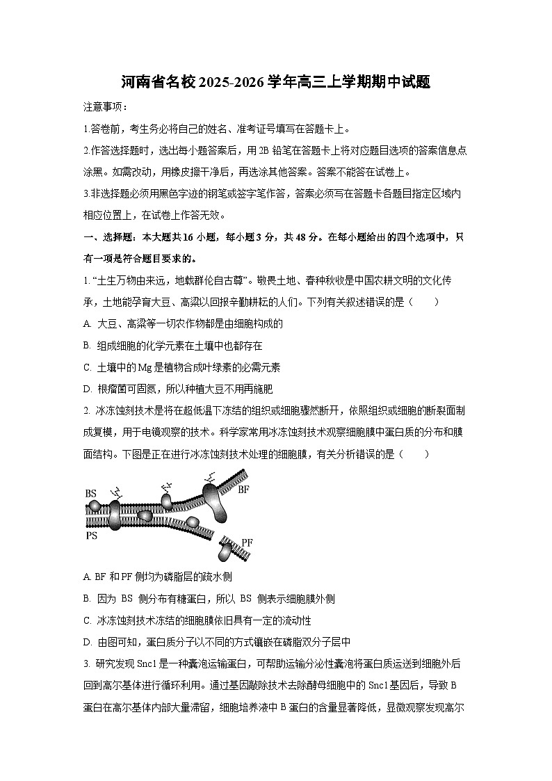 河南省名校2025-2026学年高三上学期期中生物试卷（学生版）第1页