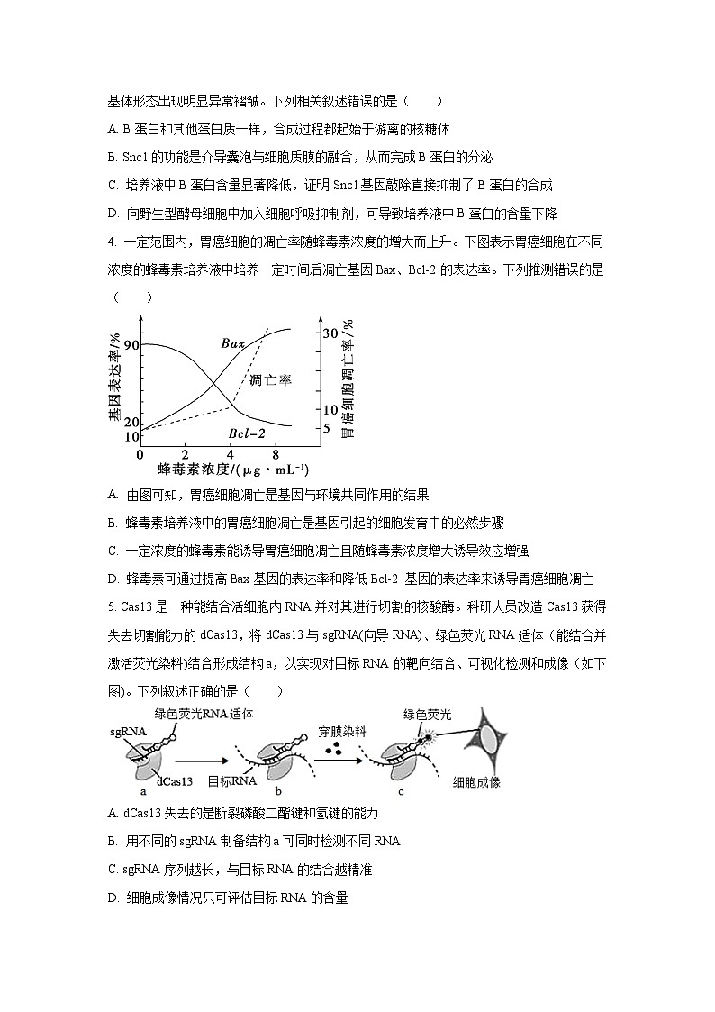 河南省名校2025-2026学年高三上学期期中生物试卷（学生版）第2页