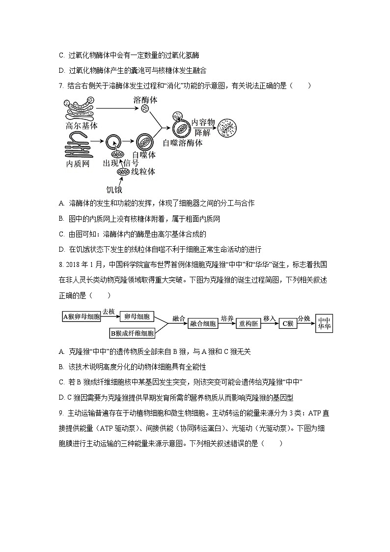 河北唐山市2025-2026学年高三上学期第二次诊断考试生物试卷（学生版）第3页