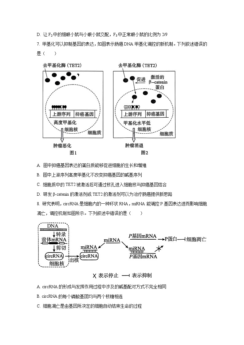 河北省多市2025-2026学年高三上学期11月期中生物试卷（学生版）第3页