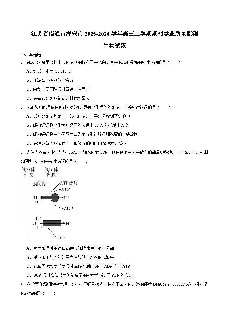 江苏省南通市海安市2026届高三上学期期初学业质量监测 生物试卷（含答案）第1页