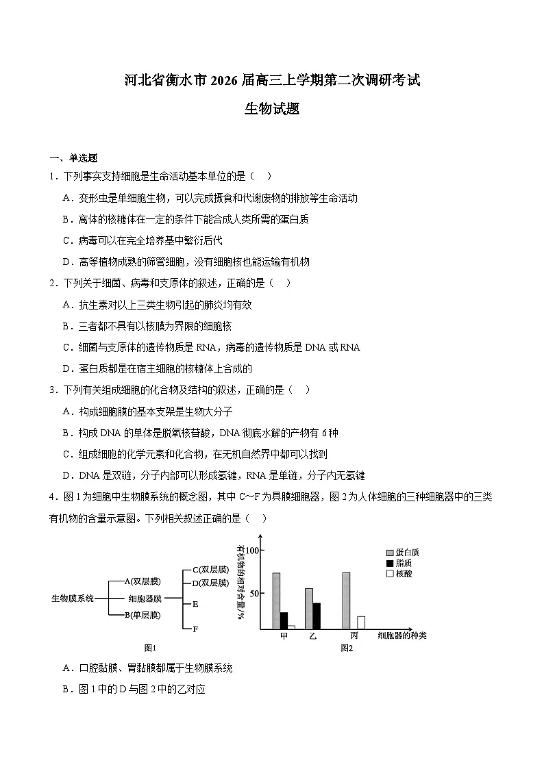 河北省衡水市2026届高三上学期第二次调研考试 生物试卷（含答案）第1页