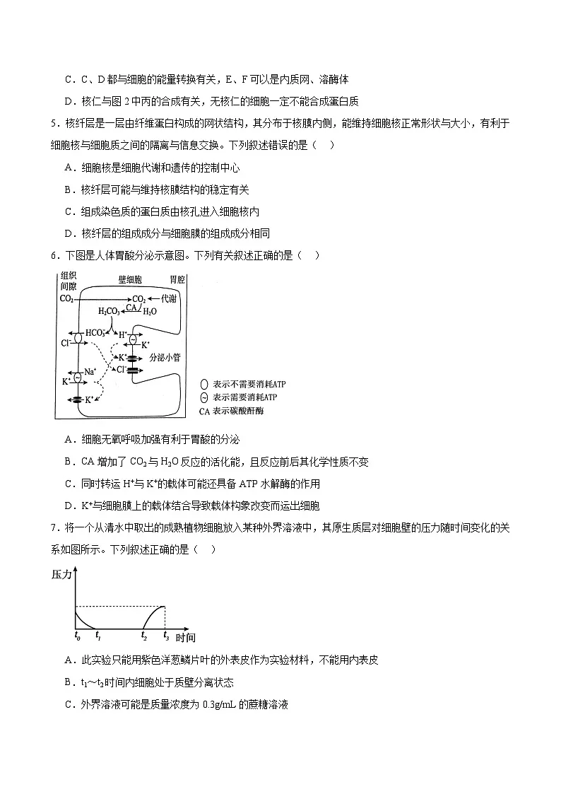河北省衡水市2026届高三上学期第二次调研考试 生物试卷（含答案）第2页