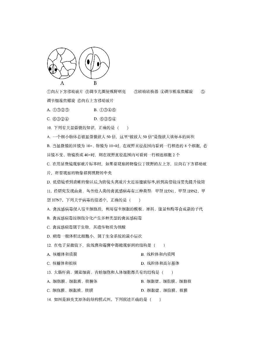 江苏省盐城市2025-2026学年高一上学期9月检测生物试卷（学生版）第3页