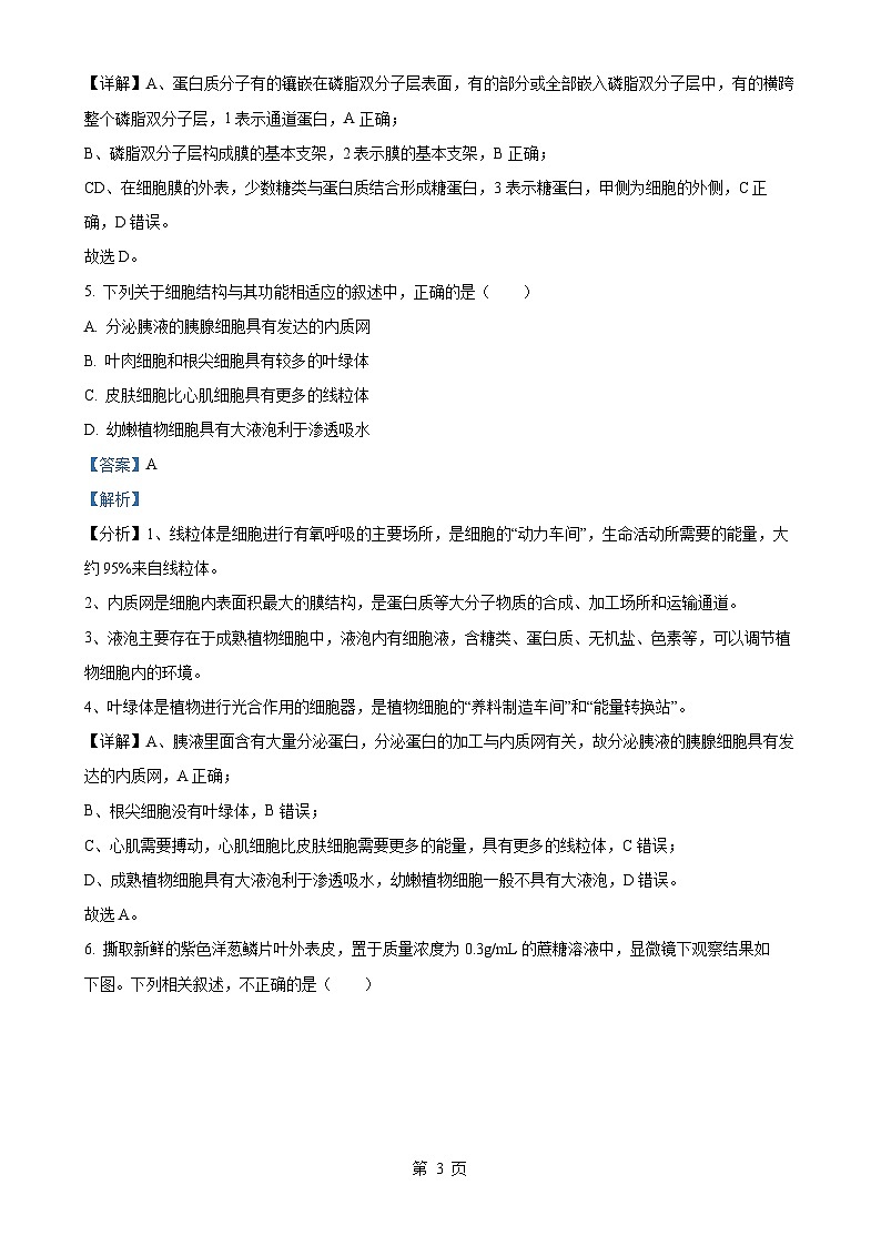 北京市清华大学附属中学高一上学期1月期末生物试题（解析版）-A4第3页