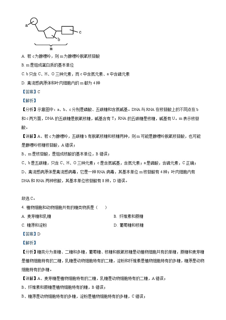 北京市清华大学附属中学望京学校高一上学期12月期末模拟考试生物试题（解析版）-A4第2页