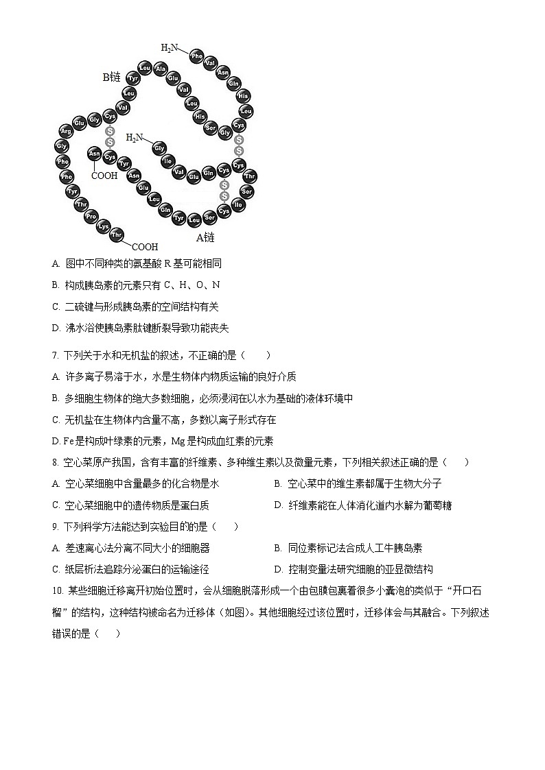北京市清华大学附属中学望京学校高一上学期12月期末模拟考试生物试题（原卷版）-A4第2页