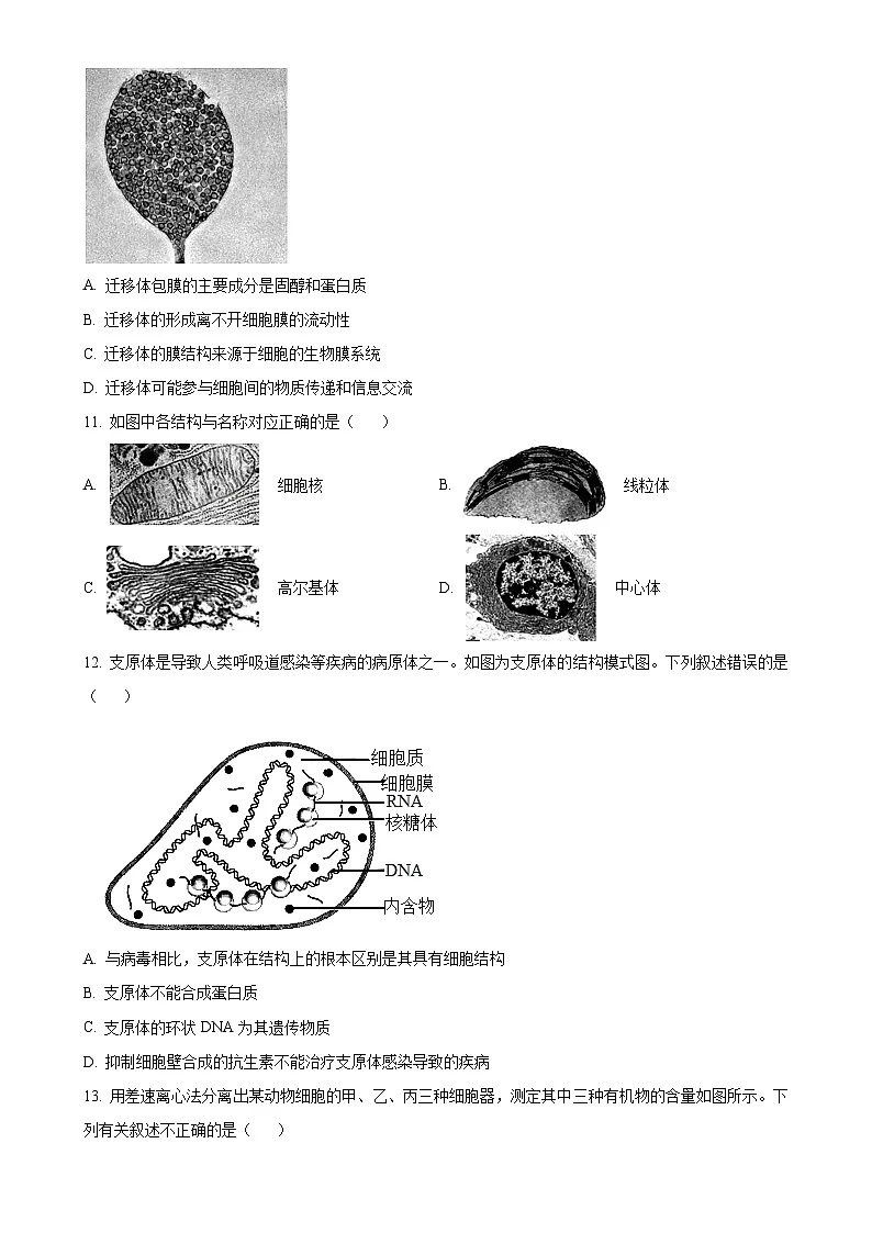北京市清华大学附属中学望京学校高一上学期12月期末模拟考试生物试题（原卷版）-A4第3页