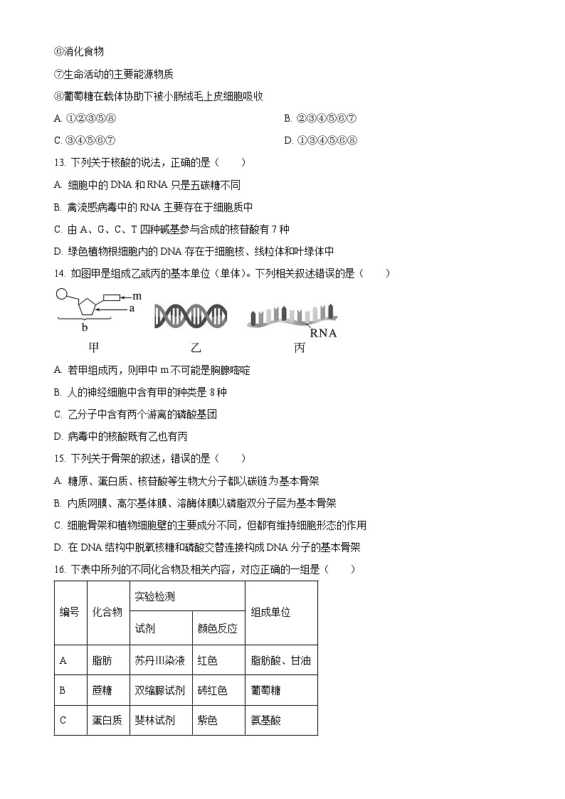 北京市清华大学附属中学望京学校高一上学期期中考试生物试题（原卷版）(1)-A4第3页