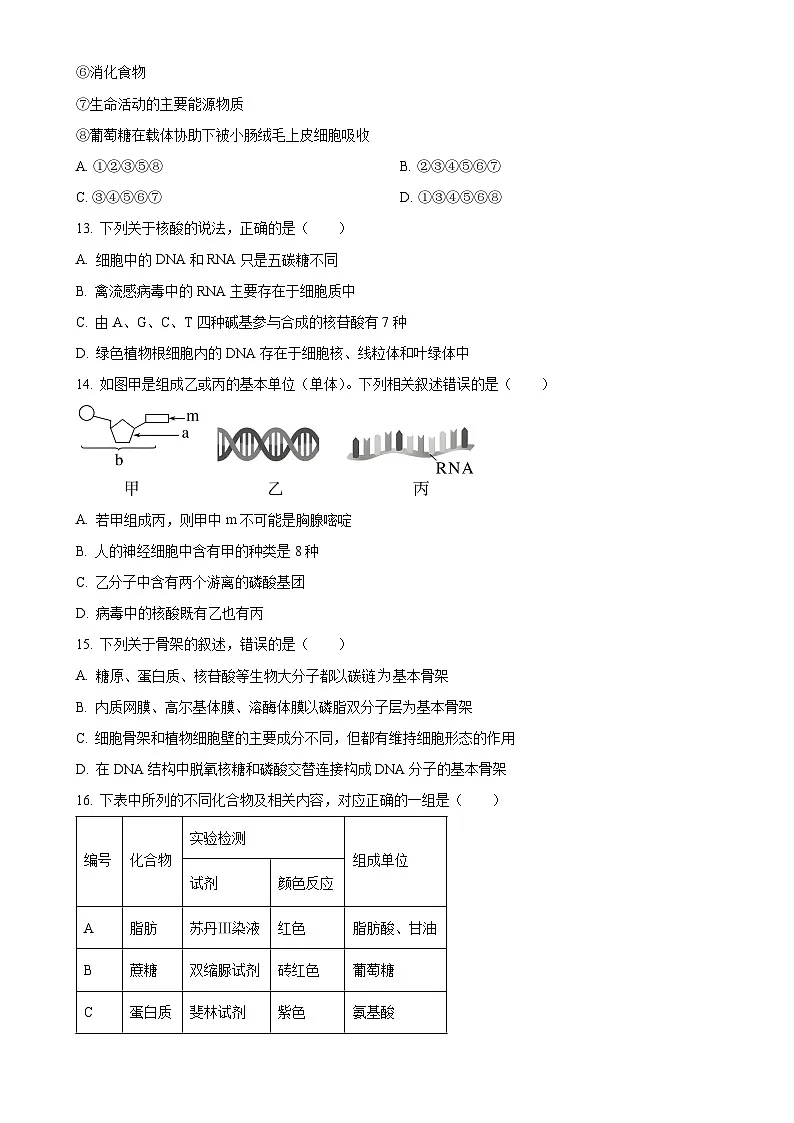 北京市清华大学附属中学望京学校高一上学期期中考试生物试题（原卷版）-A4第3页
