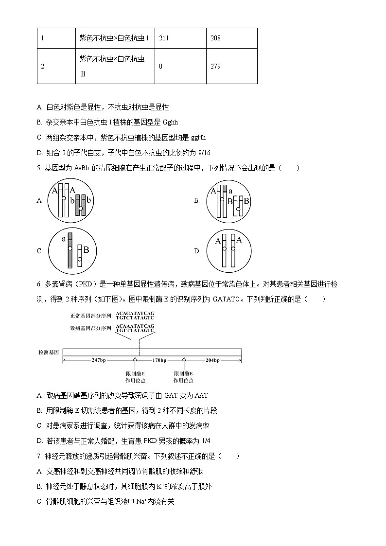 北京市石景山区高三上学期期末考试生物试卷 （原卷版）-A4第2页