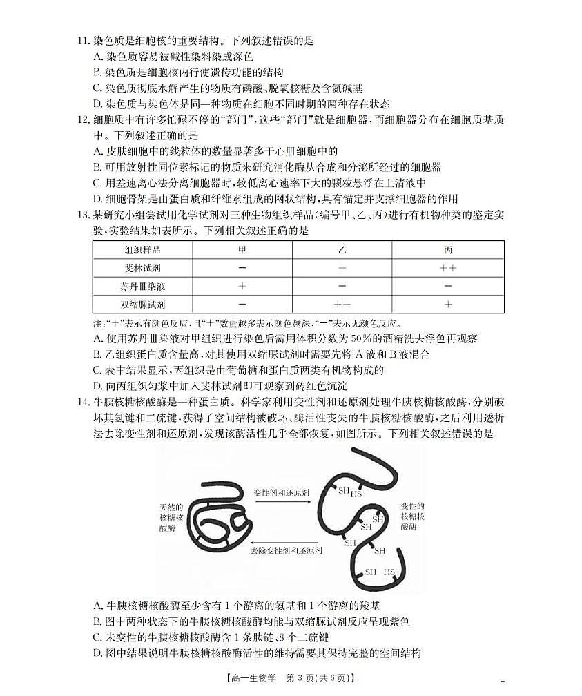 广东省金太阳2025-2026学年高一上学期11月联考生物试卷第3页