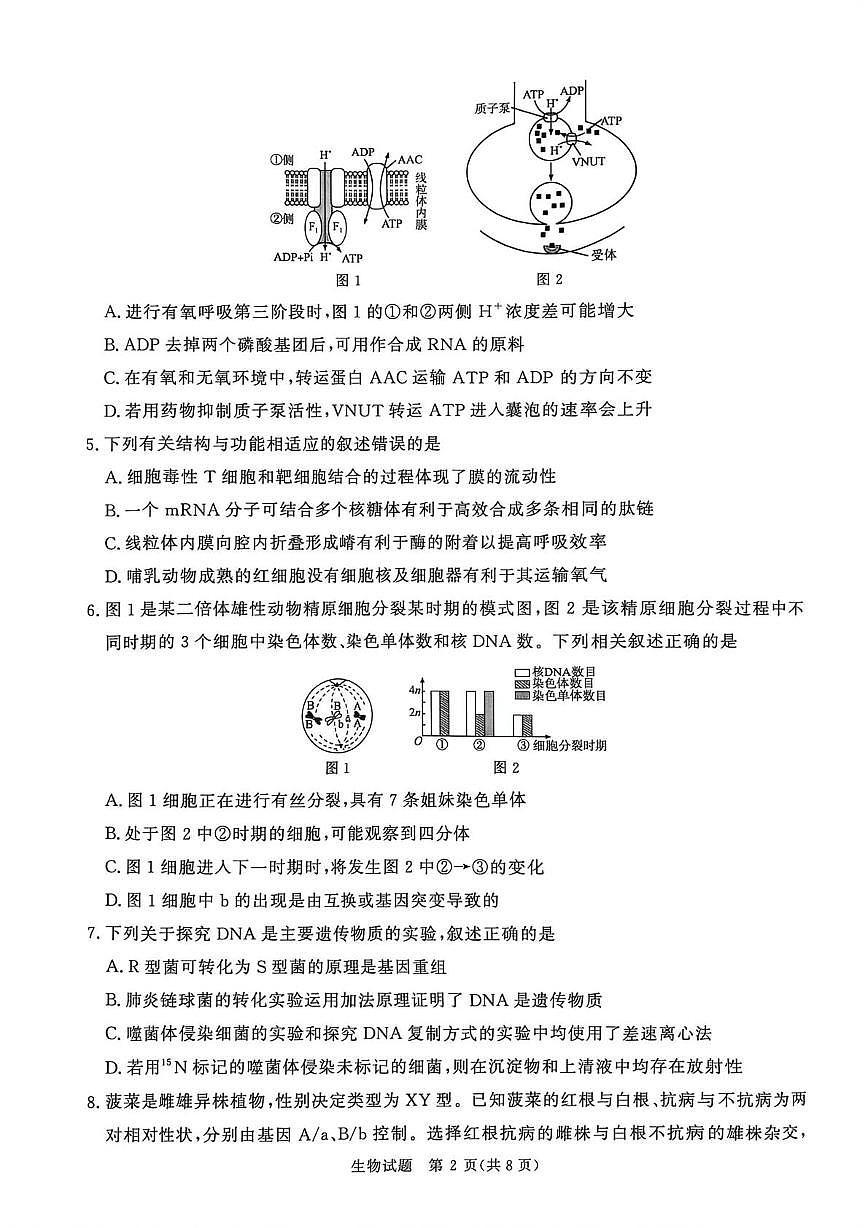 河南省青桐鸣2025-2026 学年高三上学期12月联考生物试题第2页