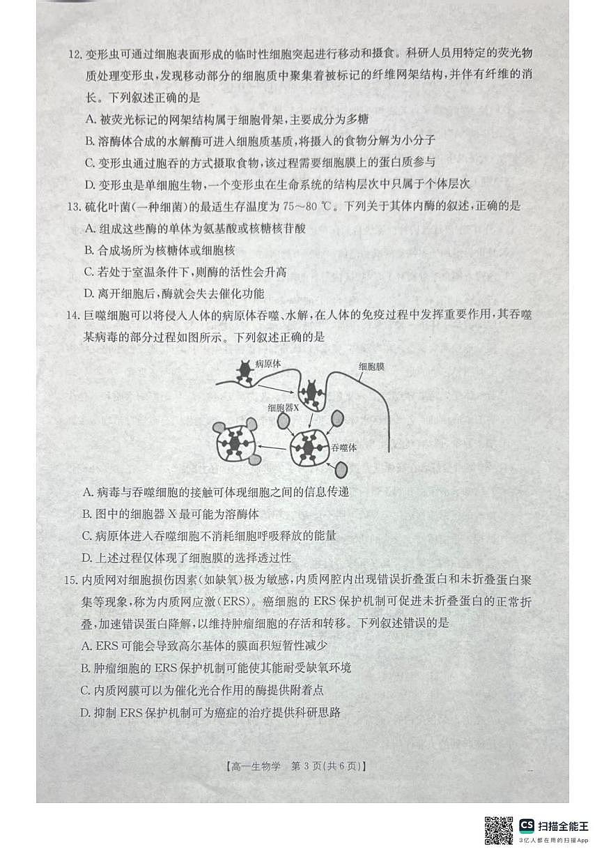 广西壮族自治区桂林市金太阳阶段性联考2025-2026学年高一上学期12月期中生物试题第3页