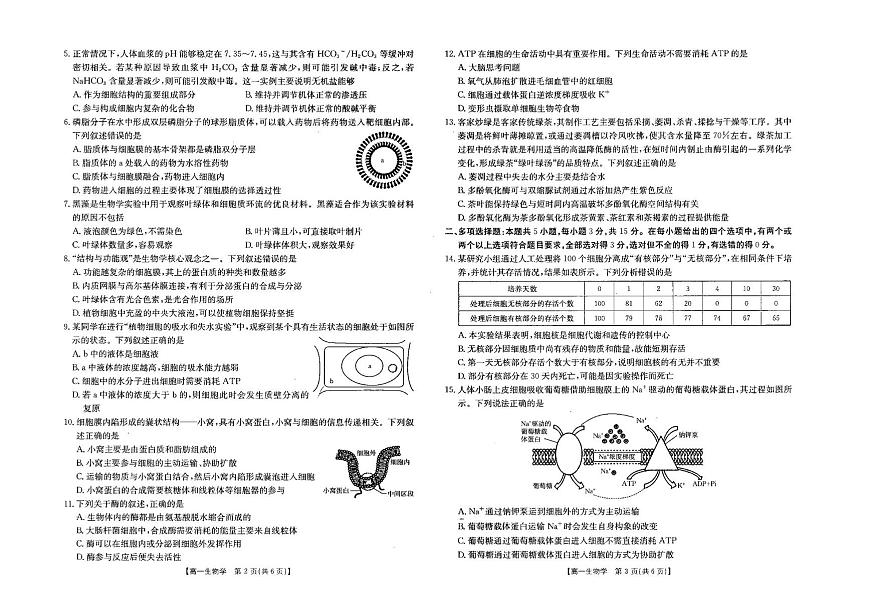 河北省部分学校2025-2026学年高一上学期12月月考生物试题第2页