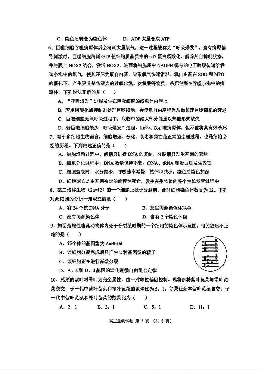 天津市东丽百中咸水沽一中2025-2026学年高三上学期期中生物试卷第2页