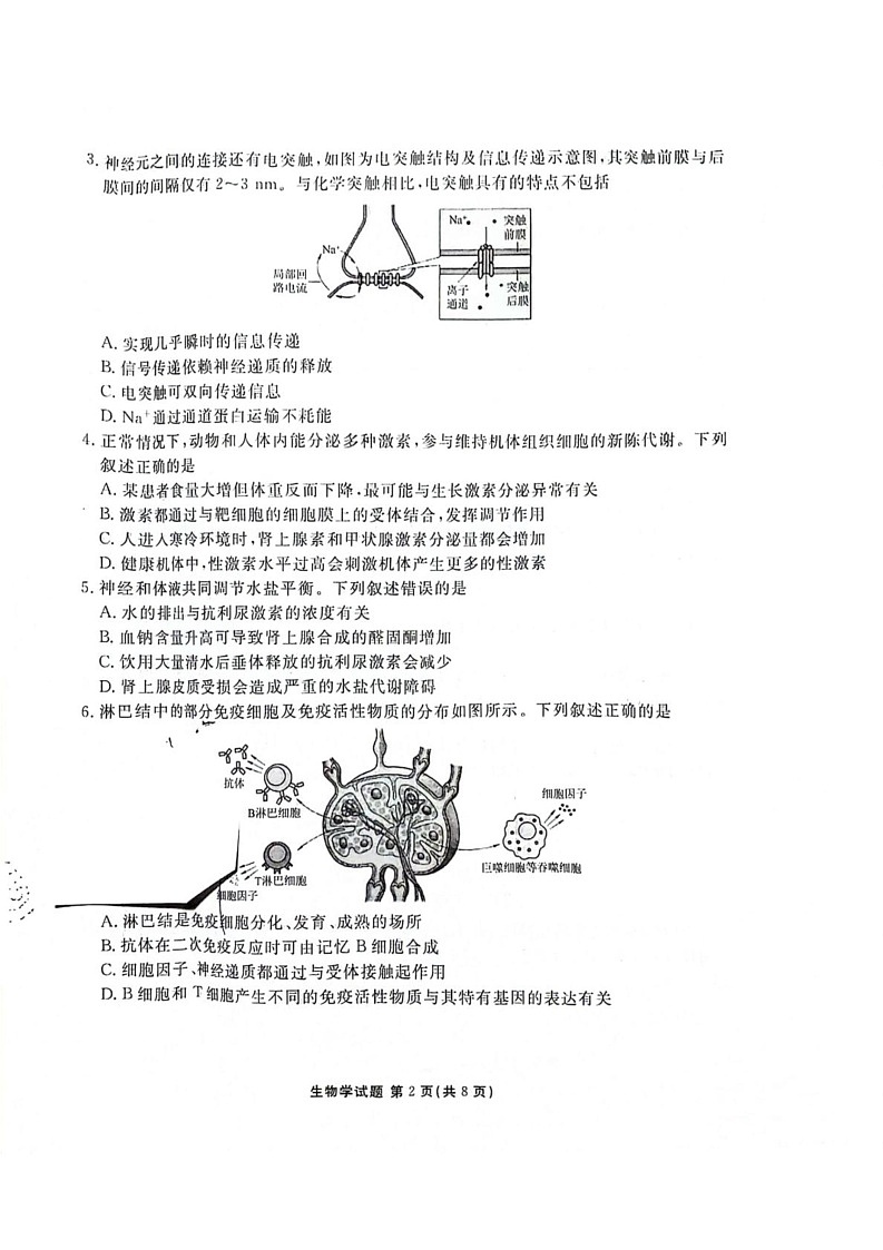 陕西省安康市2024-2025学年高二上学期1月期末生物试题第2页