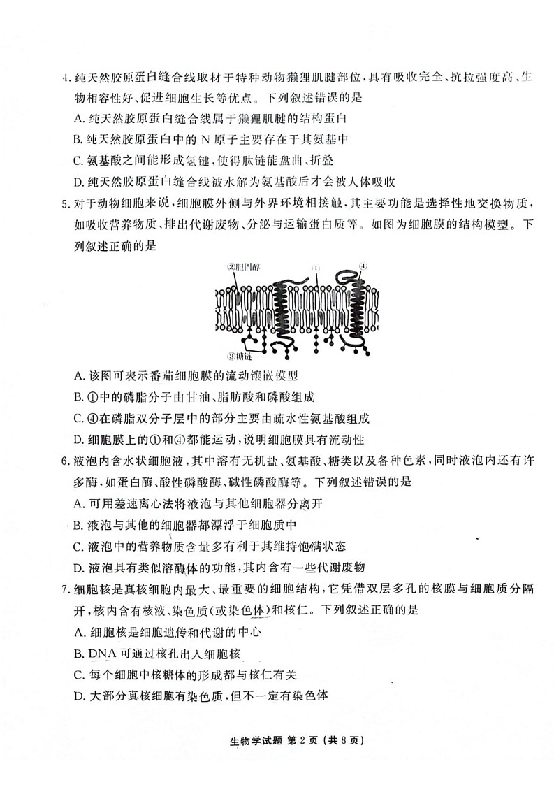 陕西省安康市2024—2025学年高一上学期期末考试生物试题第2页