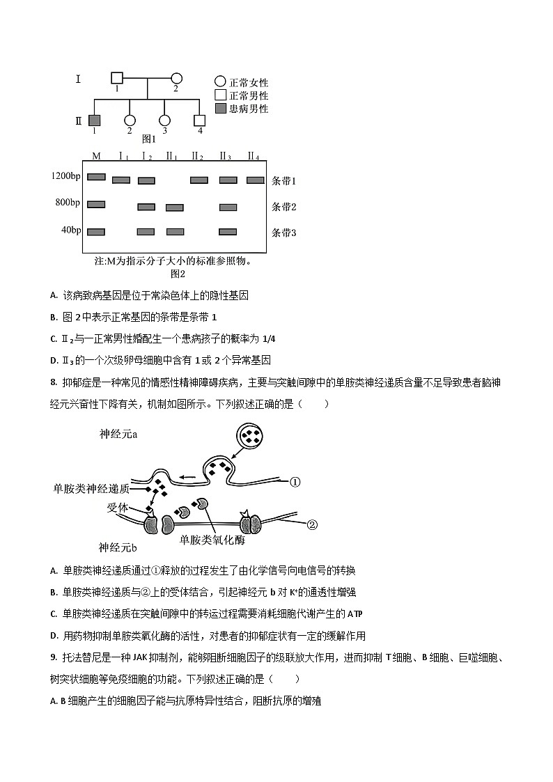 安徽省皖西南联盟2026届高三上学期开学考试 生物试卷（含答案）第3页