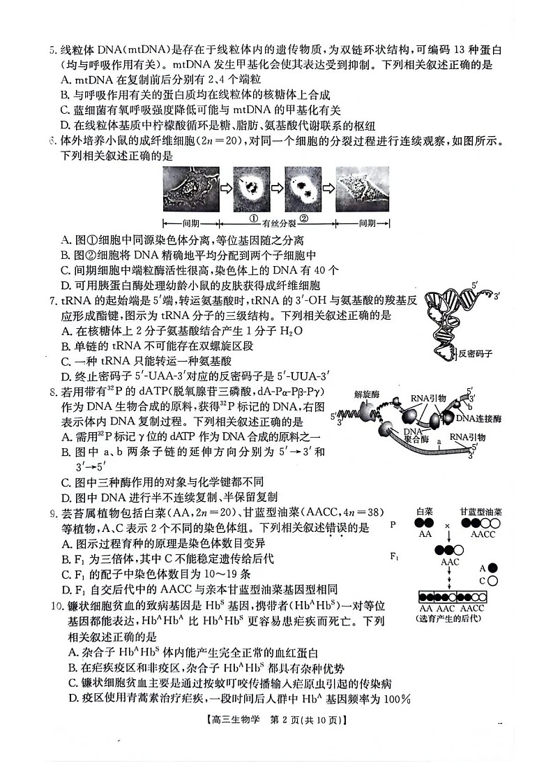 江苏金太阳百校联考2026届高三上学期12月生物试题第2页