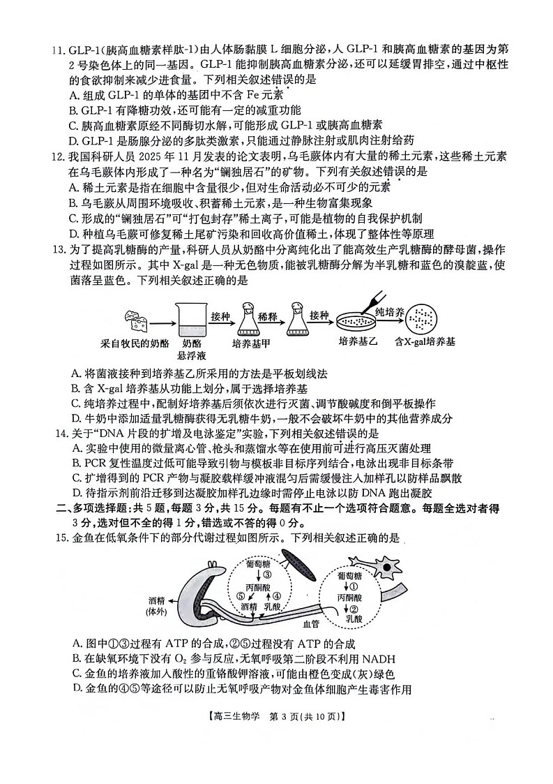 江苏金太阳百校联考2026届高三上学期12月生物试题第3页