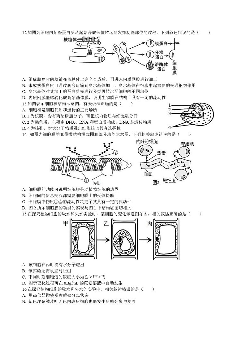云南省玉溪师范学院附属中学2025-2026学年高一上学期第二次校测生物试题第3页