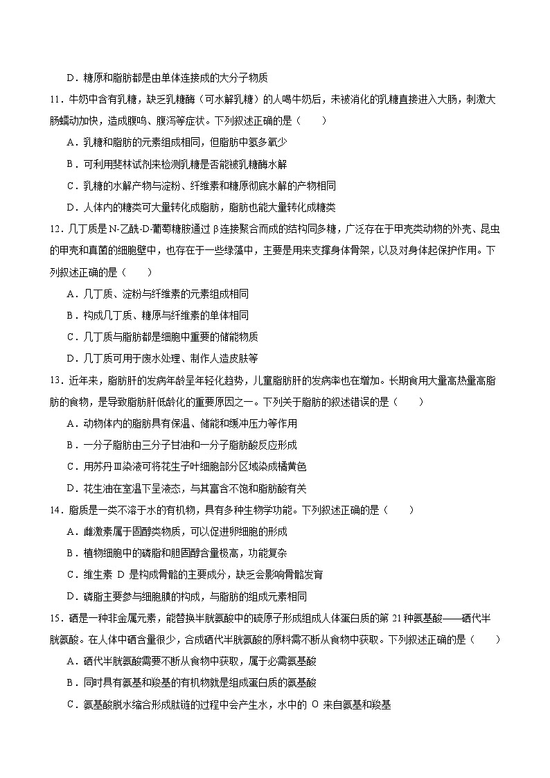 河南省新未来2025-2026学年高一上学期11月期中考试生物试卷（Word版附答案）第3页