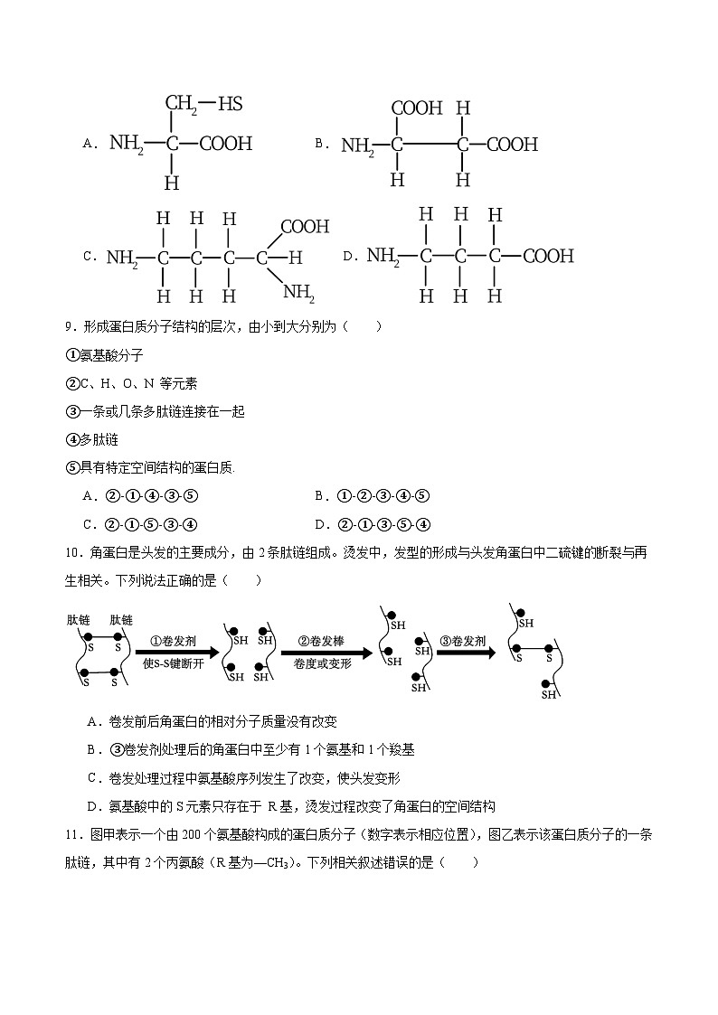 江苏省徐州市2025-2026学年高一上学期期中考试生物试卷（Word版附答案）第2页