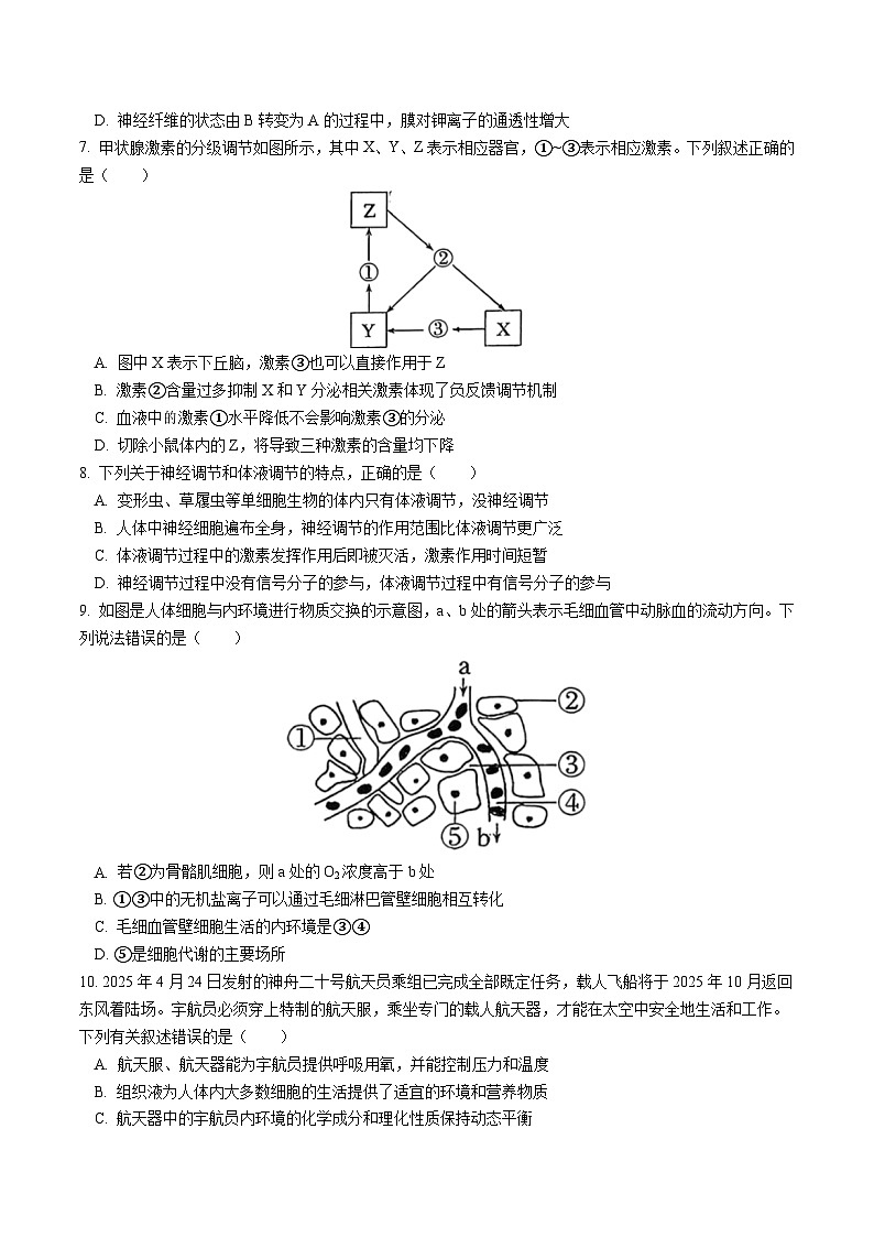 江苏省盐城市五校2025-2026学年高二上学期期中联考生物试卷（Word版附答案）第3页