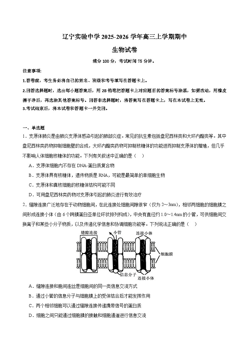 辽宁省实验中学2026届高三上学期期中考试生物试卷（Word版附解析）第1页