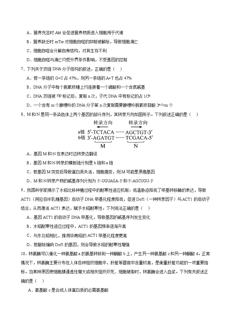 辽宁省实验中学2026届高三上学期期中考试生物试卷（Word版附解析）第3页