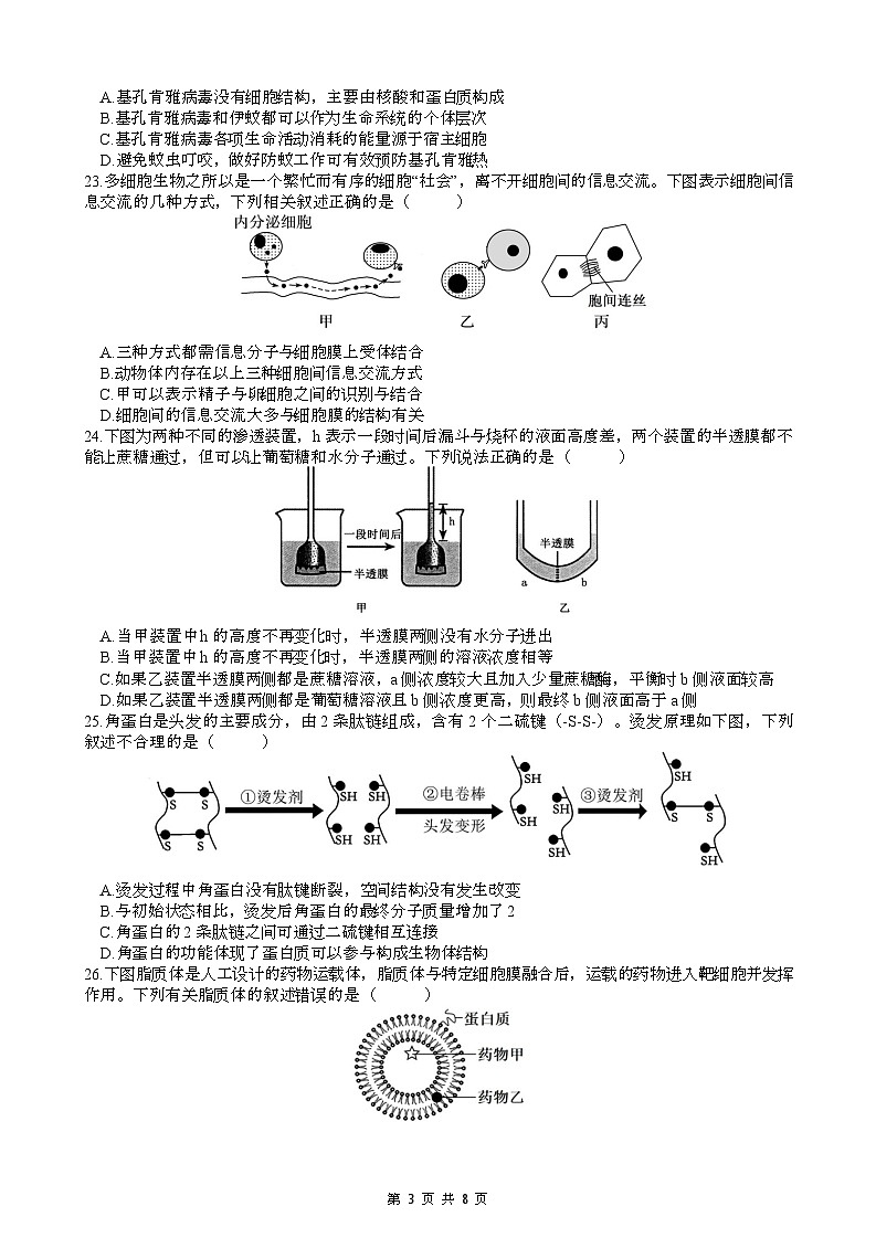 月考3(2)第3页