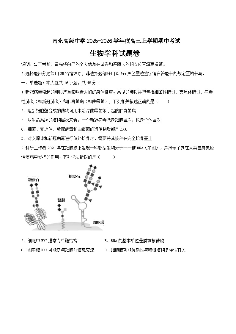 四川省南充高级中学2026届高三上学期期中考试生物试卷（Word版附答案）第1页