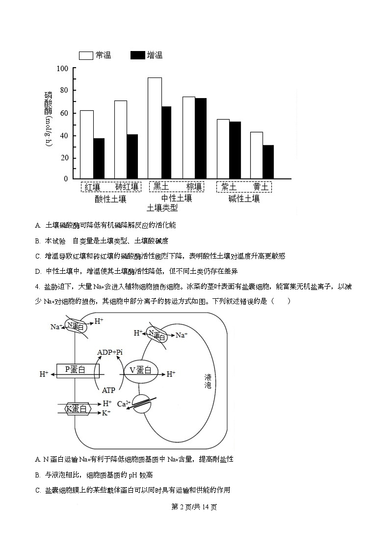 湖北省2026届高三上学期12月联考生物试卷（Word版附答案）第2页