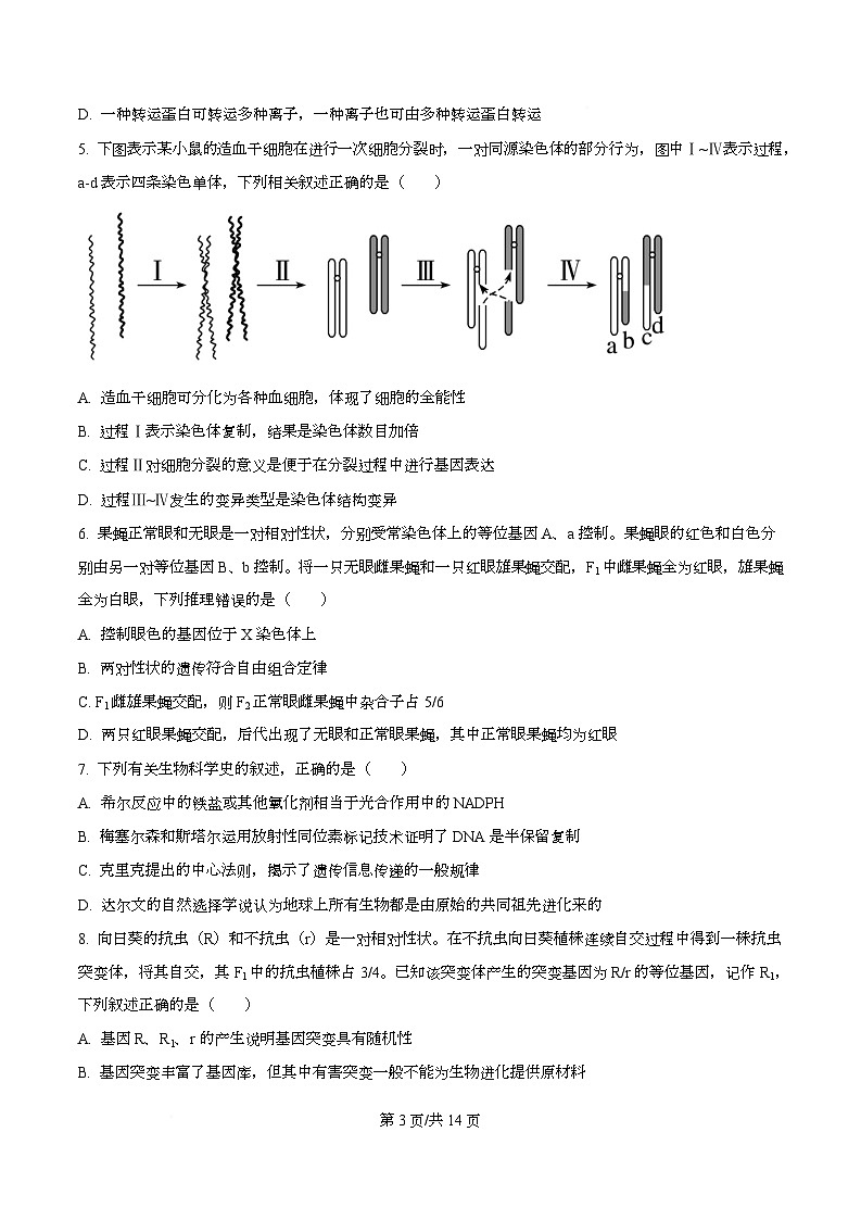 湖北省2026届高三上学期12月联考生物试卷（Word版附答案）第3页