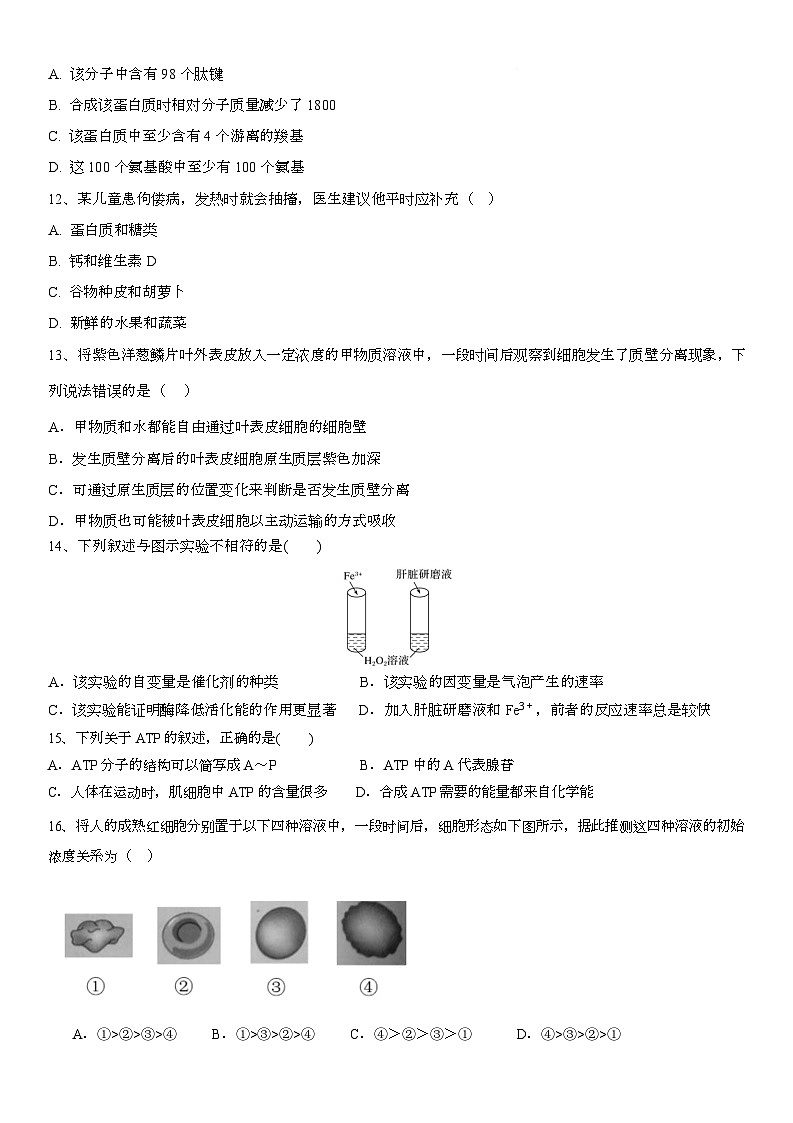 湖北省黄冈市黄梅县育才高级中学2025-2026学年高一上学期12月月考生物试题第3页