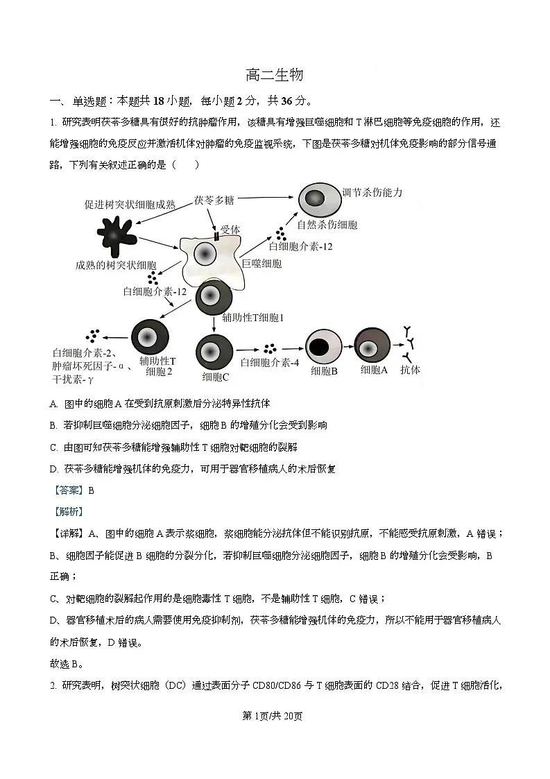 湖北省江夏一中、汉阳一中、洪山高中2025-2026学年高二上学期12月检测生物试卷 Word版含解析第1页