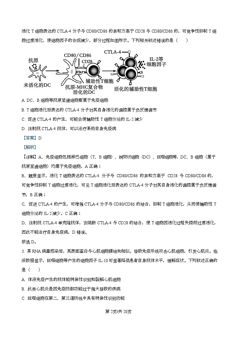 湖北省江夏一中、汉阳一中、洪山高中2025-2026学年高二上学期12月检测生物试卷 Word版含解析第2页