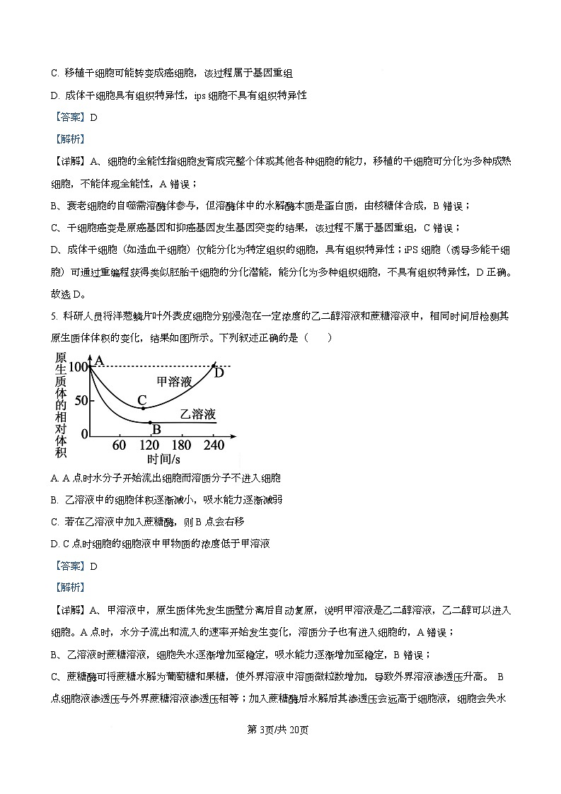 湖北省十一校2025-2026学年高三上学期12月质量检测生物试题 Word版含解析第3页