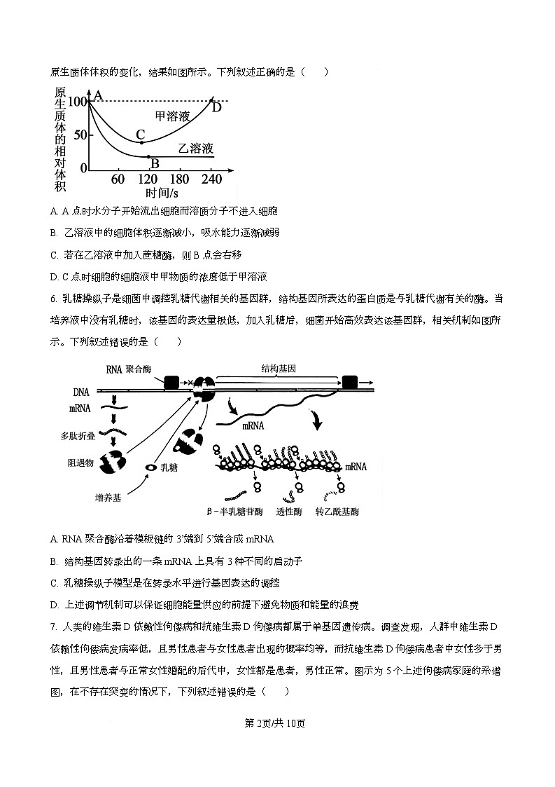 湖北省十一校2025-2026学年高三上学期12月质量检测生物试题（原卷版）第2页