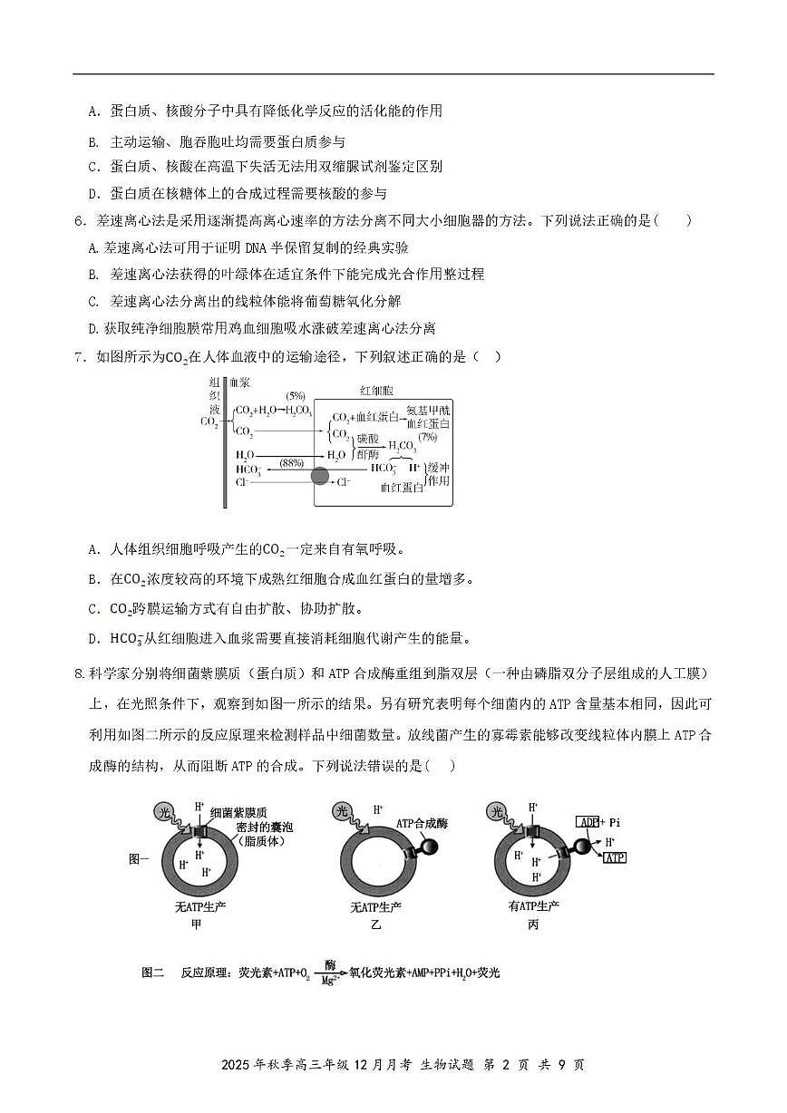湖北省市级示范高中2025-2026学年高三12月联考  生物试题 湖北省市级示范高中2025-2026学年高三12月联考  生物试题第2页